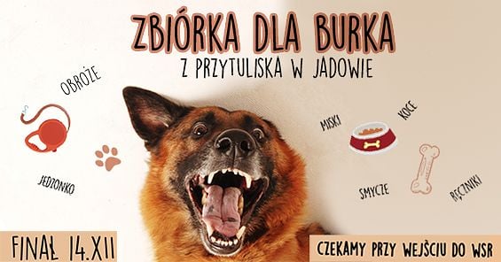 Zbiórka dla Burka - Warszawska Szkoła Reklamy pomaga zwierzakom z Przytuliska w Jadowie. 