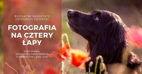 Fotografia na cztery łapy - bezpłatne warsztaty i Dzień Otwarty Warszawskiej Szkoły Reklamy. Zapraszamy 31 sierpnia 2019 r. (sobota) o godzinie 12:00